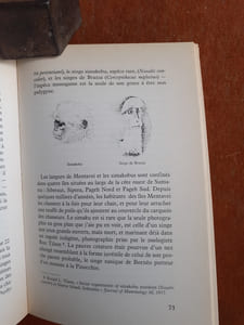 Des guenons et des femmes - Essai de sociobiologie