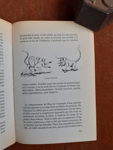Des guenons et des femmes - Essai de sociobiologie