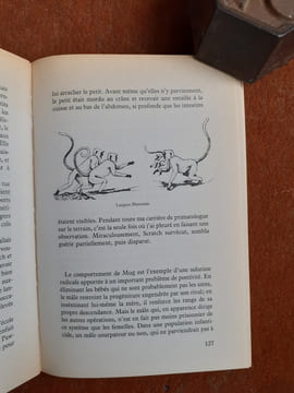 Des guenons et des femmes - Essai de sociobiologie
. BLAFFER HRDY Sarah