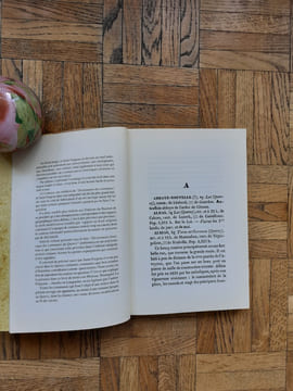 Dictionnaire historique des communes du Quercy
. GIRAULT DE SAINT-FARGEAU A.
