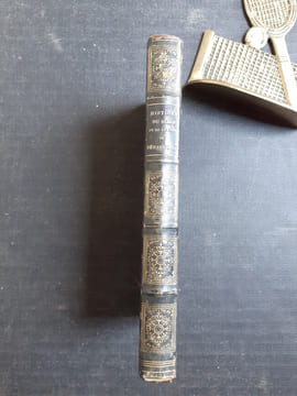 Histoire du siège de Sébastopol précédée d'une notice historique sur la Crimée et sur les causes et les principaux événements de la guerre d'Orient
. ...