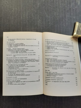 Du silence à la parole - Droit du travail, société, Etat (1830-1985)
. LE GOFF Jacques