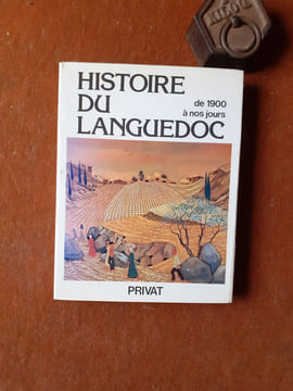 Histoire du Languedoc de 1900 à nos jours
. CHOLVY Gérard (sous la direction de)