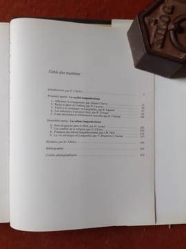 Histoire du Languedoc de 1900 à nos jours
. CHOLVY Gérard (sous la direction de)