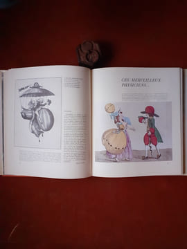 Au gré des vents - Histoire illustrée de Ballons libres
. JOBE Joseph