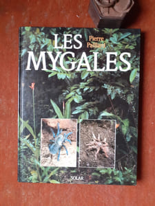 Les Mygales