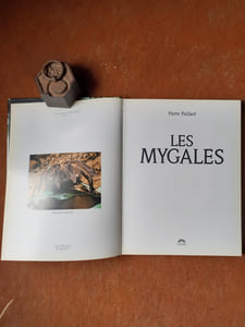 Les Mygales