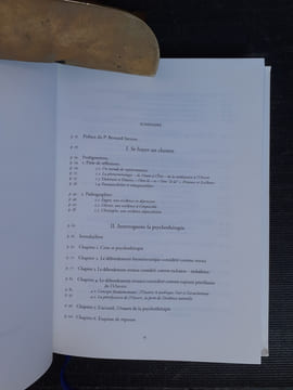 Penser l'existence, exister la pensée - De l'humanitude, de l'amour, au jour de la phénoménologie clinique
. HUYGENS Ado