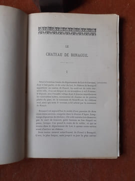 Le château de Bonaguil en Agenais - Description et histoire
. LAUZUN Philippe