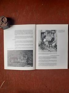 Chypre - La vie quotidienne de l'Antiquité à nos jours - Actes du colloque Musée de l'Homme