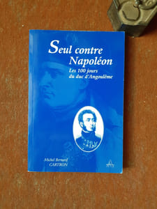 Seul contre Napoléon. Les 100 jours du duc d'Angoulême