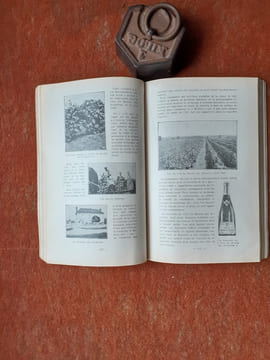 Au Pays d'Anjou - Guide du Syndicat d'initiative de l'Anjou
. BAROT Louis (préface de)
