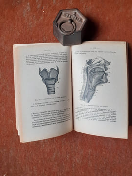 Thérapeutique magnétique - Tome I
. DURVILLE Hector