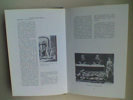 Les Yvelines. Evénements mémorables - Almanach historique	. DELAFOSSE Marcel	