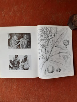Féticheurs et médecines traditionnelles du Congo (Brazzaville)
. BOUQUET Armand