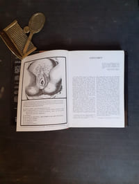 Le sexe de la femme
