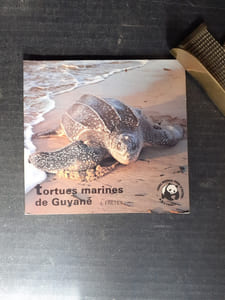 Tortues marines de Guyane