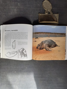 Tortues marines de Guyane
. FRETEY Jacques