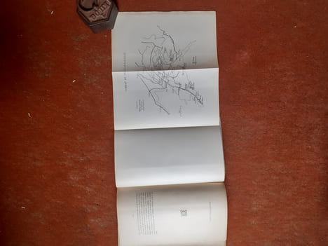 Guerre russo-japonaise. Leçons tactiques - Le combat d'Iouchoulin-Penlin, 31 juillet 1904
. A. H. (Colonel)