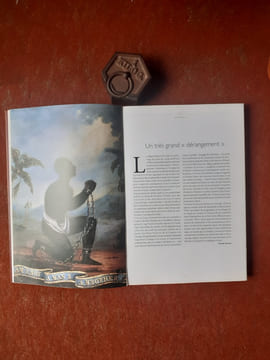 Les routes de l'esclavage. Histoire d'un très grand "dérangement"
. AUQUE Claude - THIEL Marie-Josée