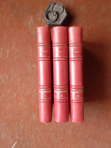 Etude médico-légale et clinique sur l'empoisonnement
