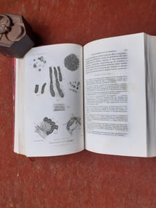 Etude médico-légale et clinique sur l'empoisonnement
