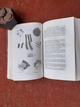 Etude médico-légale et clinique sur l'empoisonnement
. TARDIEU Ambroise