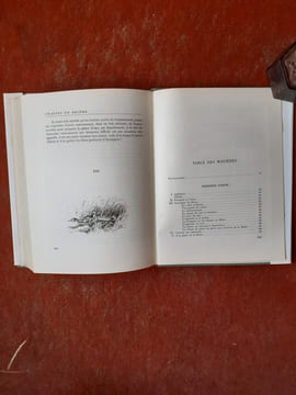 Chasses de Brière. Suivie d'une enquête sur la Sauvagine en France
. WITT Jean de