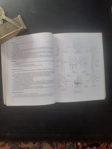 Anatomie du Karaté - Tome 1 : La Connaissance du corps