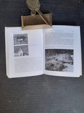 La tortue sauvage ou tortue d'Hermann
. DEVAUX Bernard