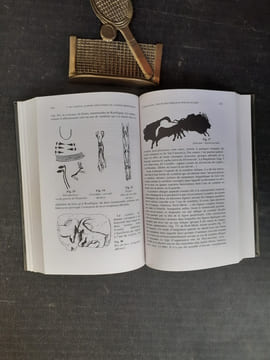 L'art pariétal - Langage de la préhistoire
. LEROI-GOURHAN André