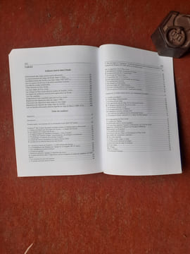 Les constitutions et privilèges de la noble Nation Sicule - Acculturation et maintien d'un système coutumier dans la Transylvanie médiévale
. ...