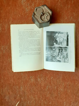Un voyage aux Indes - Impressions et souvenirs
. ARMELIN Gisèle (Dr)