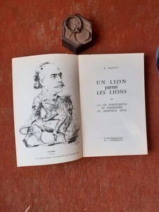 Un lion parmi les lions ou la vie aventureuse et passionnée du dompteur Bidel