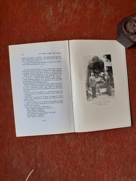 Un lion parmi les lions ou la vie aventureuse et passionnée du dompteur Bidel
. RANCY Albert