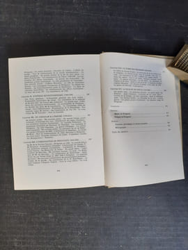 Histoire de Périgueux des origines à nos jours
. PENAUD Guy