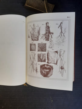Manuel d'anatomie descriptive du corps humain - Tome 1 : Ostéologie
. CLOQUET Jules Germain