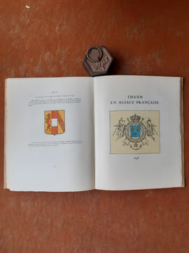Essai de reconstitution des anciennes fortifications du Château et de la Ville de Thann. Résumé des principaux événements les concernant depuis les ...