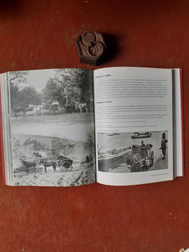 Le Bassin d'Arcachon. Au temps des pinasses, de l'huitre et de la résine
. COTTIN François et Françoise
