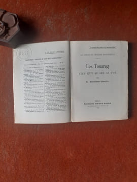 Au coeur du Hoggar mystérieux. Les Touareg tels que je les ai vus
. STEINILBER-OBERLIN E.