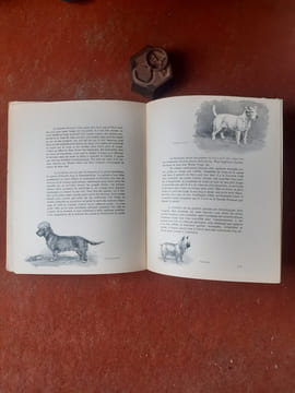 Le chien. Ses origines - Son évolution. Tomes 1 et 2
. OBERTHUR Joseph
