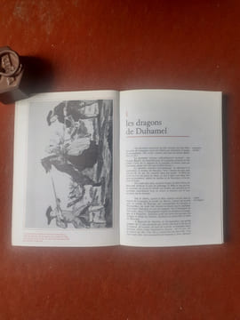La Bête du Gévaudan - Une grande énigme de l'histoire
. BUFFIERE Félix