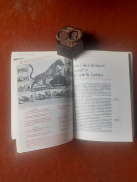 La Bête du Gévaudan - Une grande énigme de l'histoire
. BUFFIERE Félix