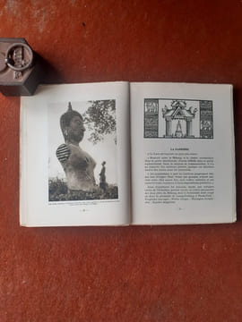 Le Laos. Dieux - Bonzes et montagnes
. JEAN-RENAUD