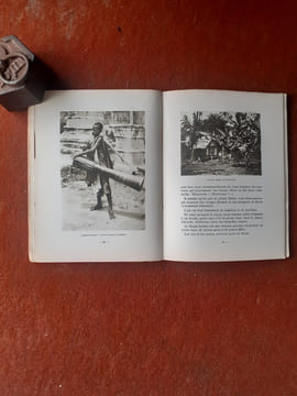 Le Laos. Dieux - Bonzes et montagnes
. JEAN-RENAUD