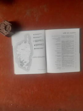 La Corse avant l'histoire. Monuments et Art de la civilisation mégalithique insulaire du début du IIIe à la fin du IIe millénaire avant notre ère
. ...