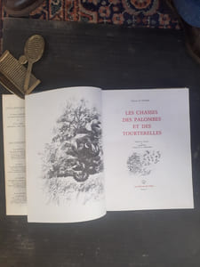 Les chasses des palombes et des tourterelles

