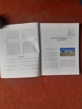 Revue Archéologique de Bordeaux, tome CVIII, année 2017 - Mille ans de troglodytisme à Saint-Emilion
. DELANGHE Damien (et autres) / Revue ...