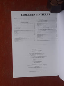 Histoire des tramways, omnibus, trolleybus et autobus à Bordeaux