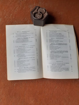 Etude mathématique généralisée du Jeu de Nain Jaune
. BARBOT Jacques